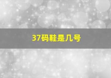 37码鞋是几号