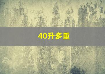 40升多重