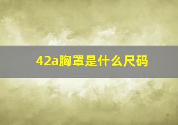 42a胸罩是什么尺码