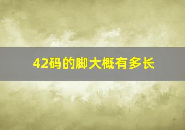 42码的脚大概有多长