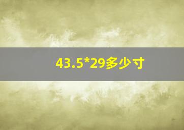 43.5*29多少寸