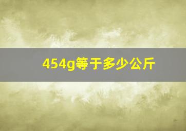 454g等于多少公斤