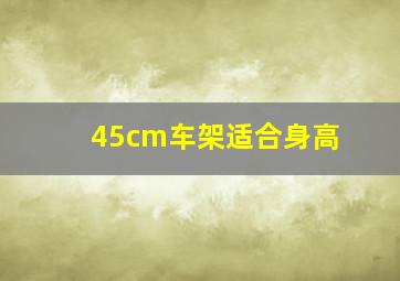 45cm车架适合身高