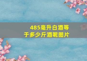 485毫升白酒等于多少斤酒呢图片