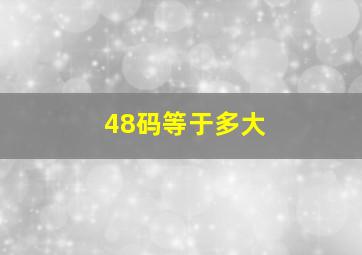 48码等于多大