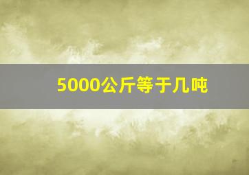 5000公斤等于几吨