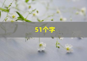 51个字