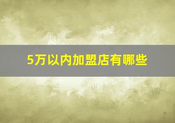 5万以内加盟店有哪些