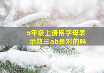 5年级上册用字母表示数三ab是对的吗