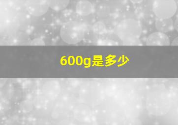 600g是多少