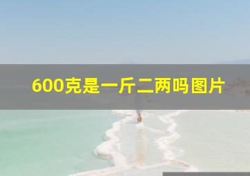 600克是一斤二两吗图片