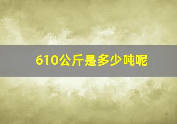 610公斤是多少吨呢