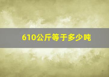 610公斤等于多少吨