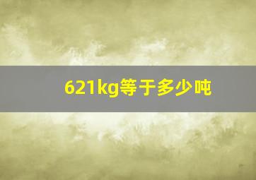 621kg等于多少吨