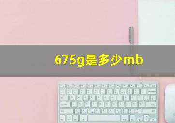 675g是多少mb