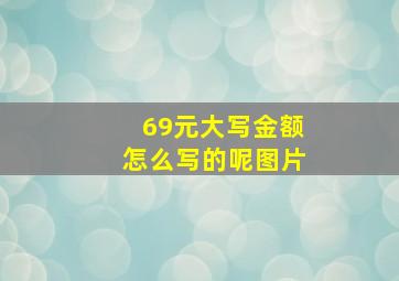 69元大写金额怎么写的呢图片