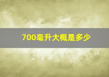 700毫升大概是多少