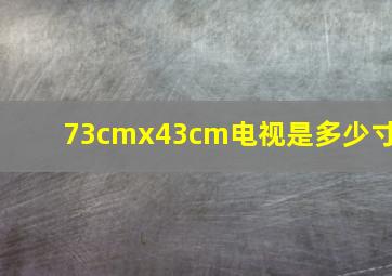 73cmx43cm电视是多少寸