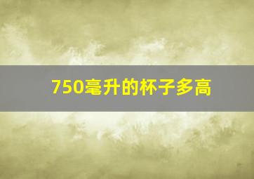 750毫升的杯子多高