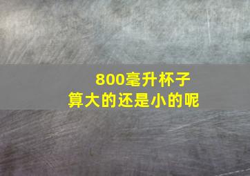 800毫升杯子算大的还是小的呢