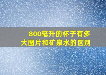 800毫升的杯子有多大图片和矿泉水的区别