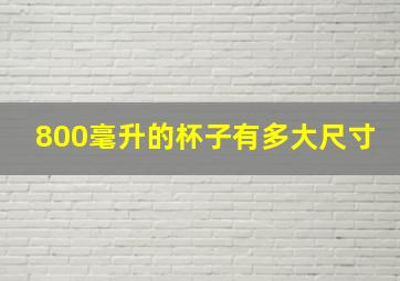 800毫升的杯子有多大尺寸