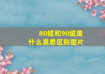 80绒和90绒是什么意思区别图片