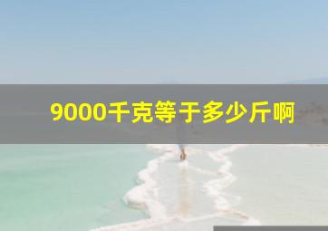 9000千克等于多少斤啊