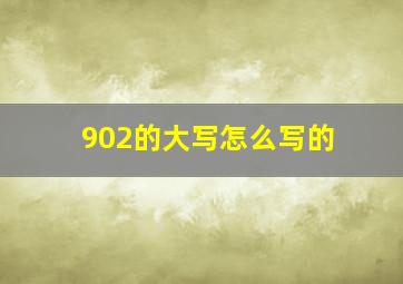 902的大写怎么写的