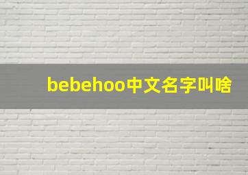 bebehoo中文名字叫啥