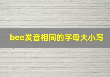 bee发音相同的字母大小写