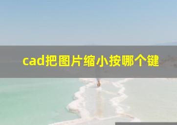 cad把图片缩小按哪个键