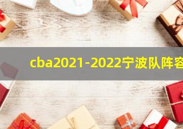 cba2021-2022宁波队阵容