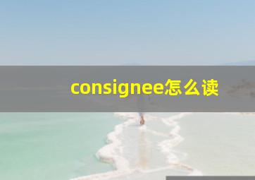 consignee怎么读