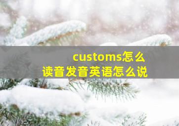 customs怎么读音发音英语怎么说