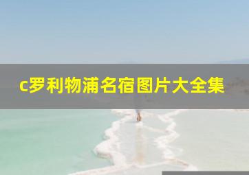 c罗利物浦名宿图片大全集