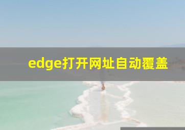 edge打开网址自动覆盖