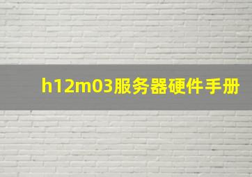 h12m03服务器硬件手册