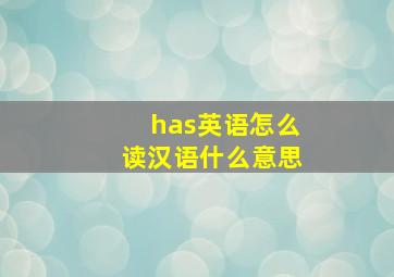 has英语怎么读汉语什么意思