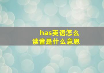 has英语怎么读音是什么意思