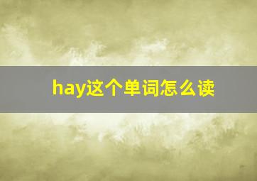 hay这个单词怎么读