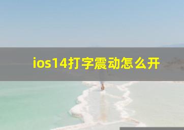 ios14打字震动怎么开