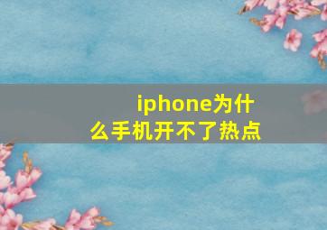 iphone为什么手机开不了热点