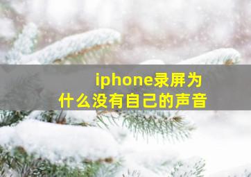 iphone录屏为什么没有自己的声音