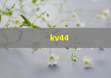 kv44