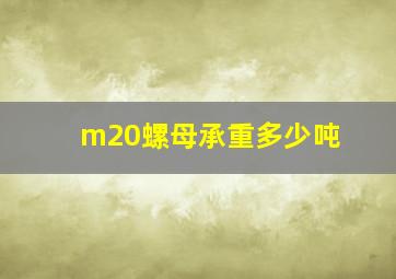 m20螺母承重多少吨