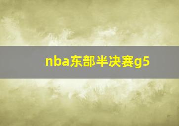 nba东部半决赛g5