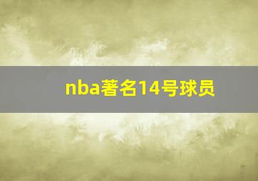 nba著名14号球员