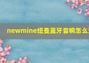 newmine纽曼蓝牙音响怎么连