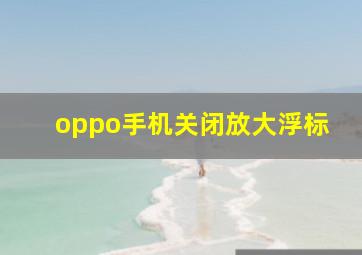 oppo手机关闭放大浮标